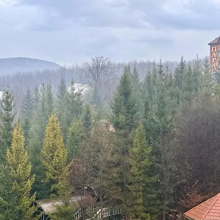 Apartment Forest